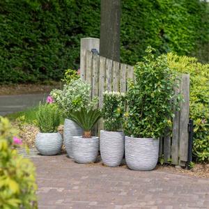 Pentola Capi Nature Rib KOFI270 image-3