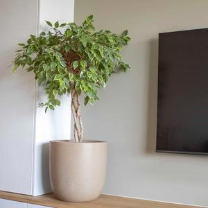 Blomsterkrukke Capi Waste Smooth image-3