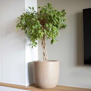 Blomsterkrukke Capi Waste Smooth image-1