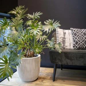 Blomsterkrukke Capi Groove image-1