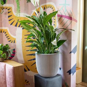 Blomsterkrukke Capi Groove image-2