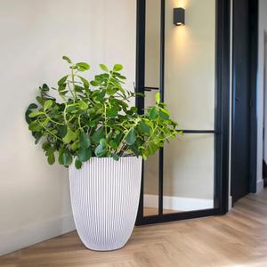 Elegant Groove krukke Capi image-1