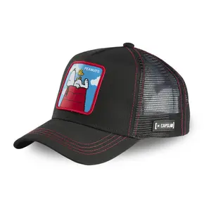 Gorra Serge Gorraslab Peanuts image-0