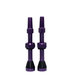cp-al44-r-purple-alu-felgenventil-captain-protect-violett-44-mm