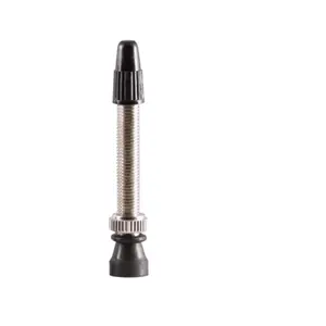 cp-br44-a-pack50-ventil-fur-rundfelgen-captain-protect-x50-silber-44-mm