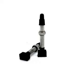 Tyre valve Captain Protect B