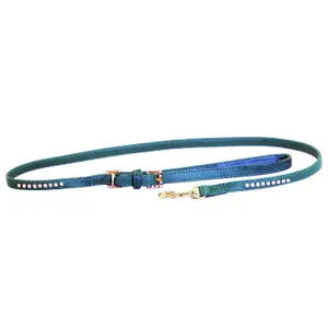 Correa para perro con strass Carlain