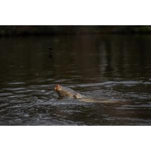 Plomb Carp products Pole Position Grip-on Safeweight (x3) image-4