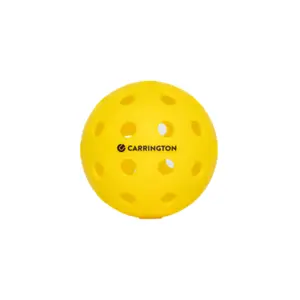 Resistente Pickleball-Ball Carrington (x4) image-0