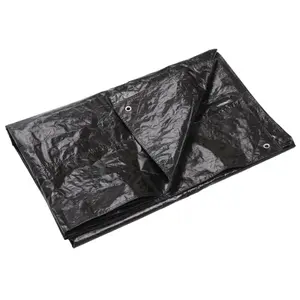 rg6000068-schutzplane-cat-spirit-schwarz-300x200-cm