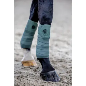 Polostrips til heste Catago FIR-Tech (x2) image-1