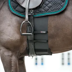 Respect band for horse Catago image-0