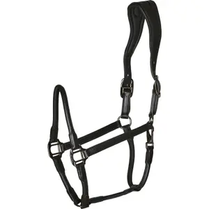 Leather halter for horses Catago image-0