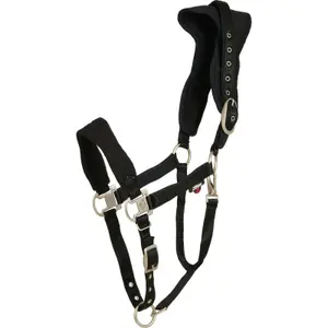 Nylon horse halter Catago FIR-Tech® image-0