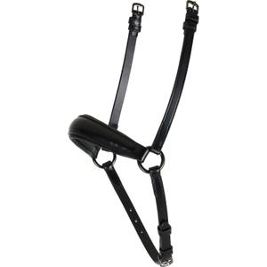 Kreuzunterlegtrense für Islandpferde Catago image-0