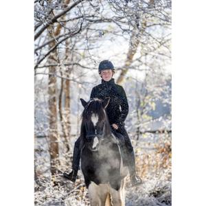 Kreuzunterlegtrense für Islandpferde Catago image-2