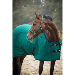 Couverture pour cheval Catago FIR-Tech image-4