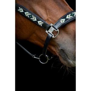 Lederhalfter für Pferde Catago Vanamo image-3