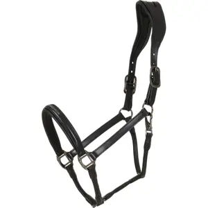 Cabresto de couro para cavalos Catago Novi 25.2