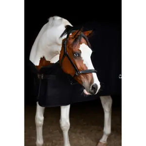 Cabresto de couro para cavalos Catago Novi 25.2 image-2