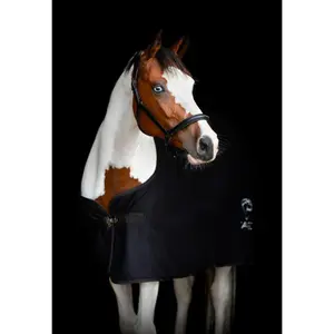 Cabresto de couro para cavalos Catago Novi 25.2 image-3