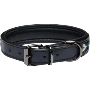 Coleira cão Catago Viben