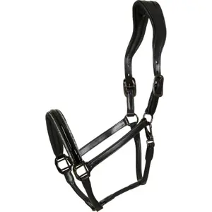 Cabestro de cuero para caballos Catago Novi 24.2 image-0