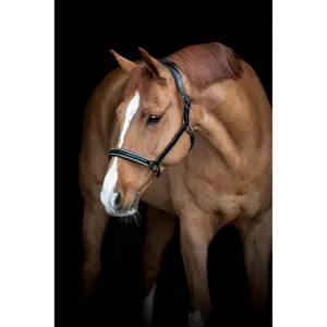 Cabestro de cuero para caballos Catago Novi 24.2 image-1