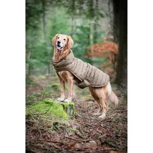 Dog coat Catago FIR-Tech image-1