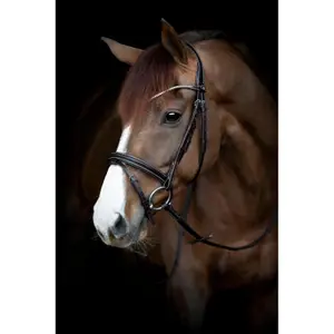 Trense Catago Brooklyn image-1