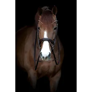 Trense Catago Brooklyn image-2