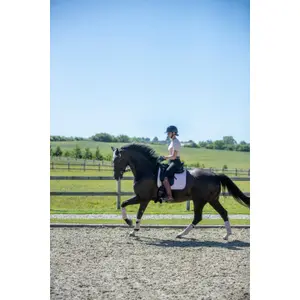 Elastiskt bandage för hästar Catago FIR-Tech (x2) image-1