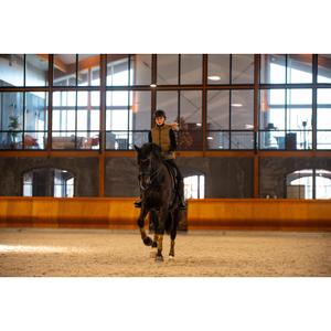 Polo bandages voor grote paard Catago FIR-Tech image-2