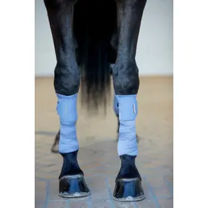 Elastiskt bandage för hästar Catago FIR-Tech (x2) image-2