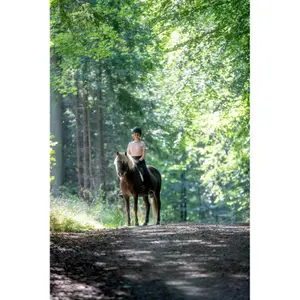Large saddle pad for Icelandic horse Catago FIR-Tech image-1