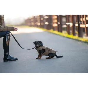 Hundlina Catago image-2