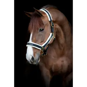 Halster voor paarden Catago Bea image-1