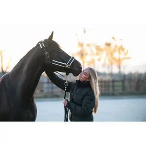 Halster voor paarden Catago Bea image-2