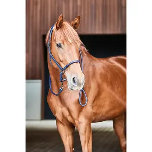 Leather halter for horses Catago image-1