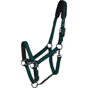 Licol pour cheval Catago image-0