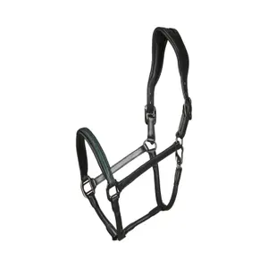 Leather horse halter Catago Arrow image-0
