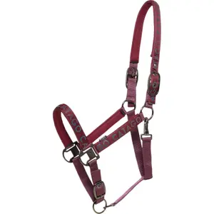 Cabresto de nylon para cavalos Catago Alea image-0