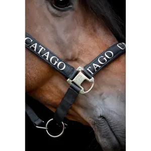 Licol pour cheval Catago Nisha image-3