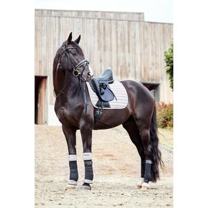 Briglie da equitazione Catago Savi image-1