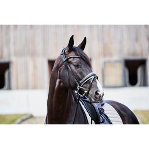 Briglie da equitazione Catago Savi image-2