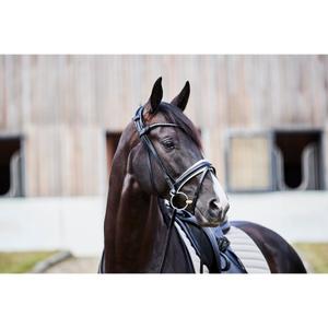 Briglie da equitazione Catago Savi image-3