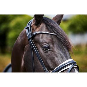 Briglie da equitazione Catago Savi image-4