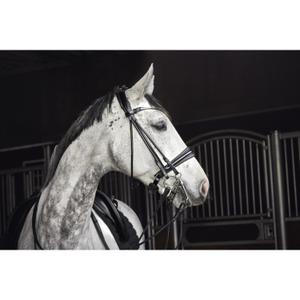 Dvojité rolované uzdečky Catago Santo image-1