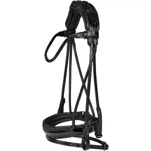 Riding bridle Catago Nival image-0