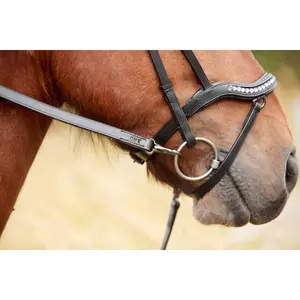 Bridons équitation Catago Raja Icelandic image-2